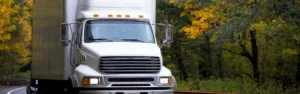 Movers in Jackson, NJ